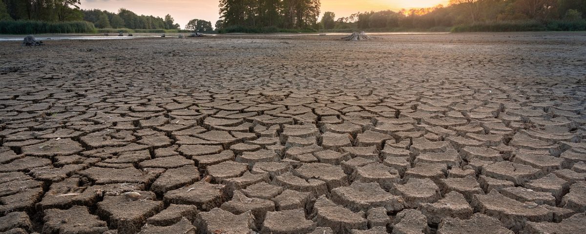 Read more about the article 5 Reasons We Are Facing A Global Water Crisis