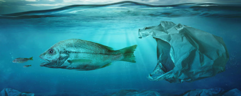 Read more about the article Causes and effects of water pollution